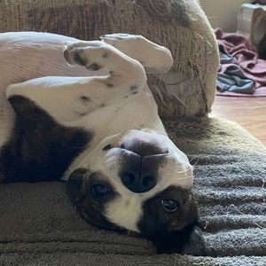 Meet your Posher, Carla